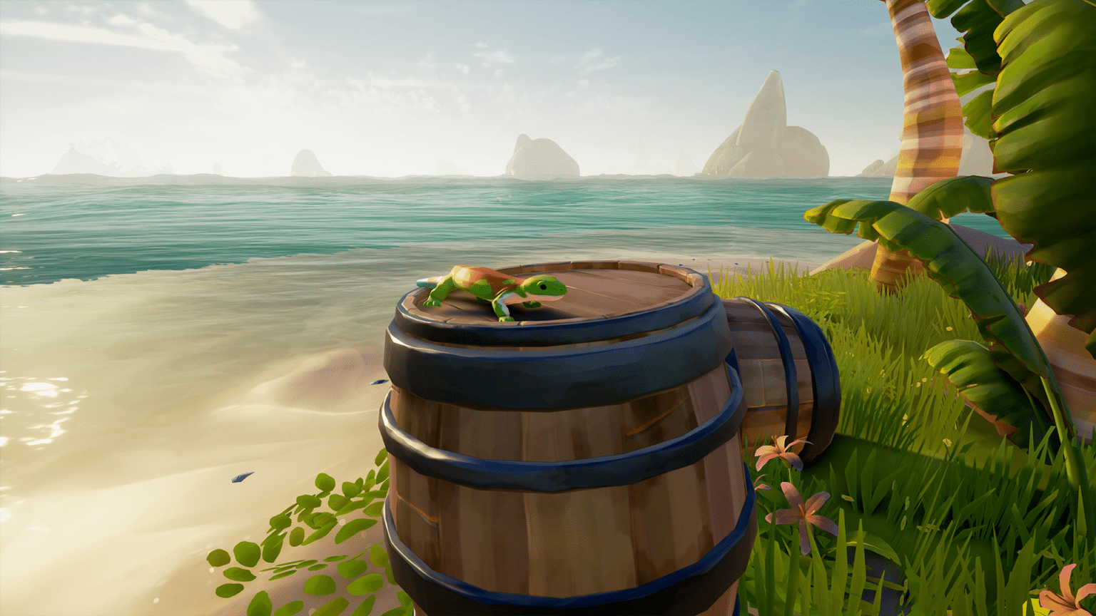 Sea of Thieves: Ambient Wildlife - Rare Thief
