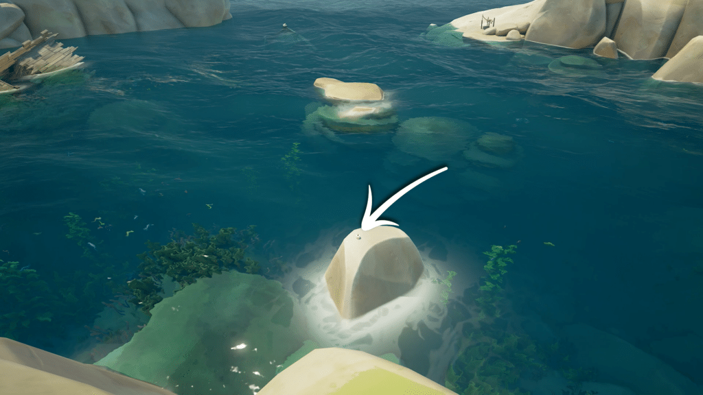 Uncharted Isle at K9 Cake